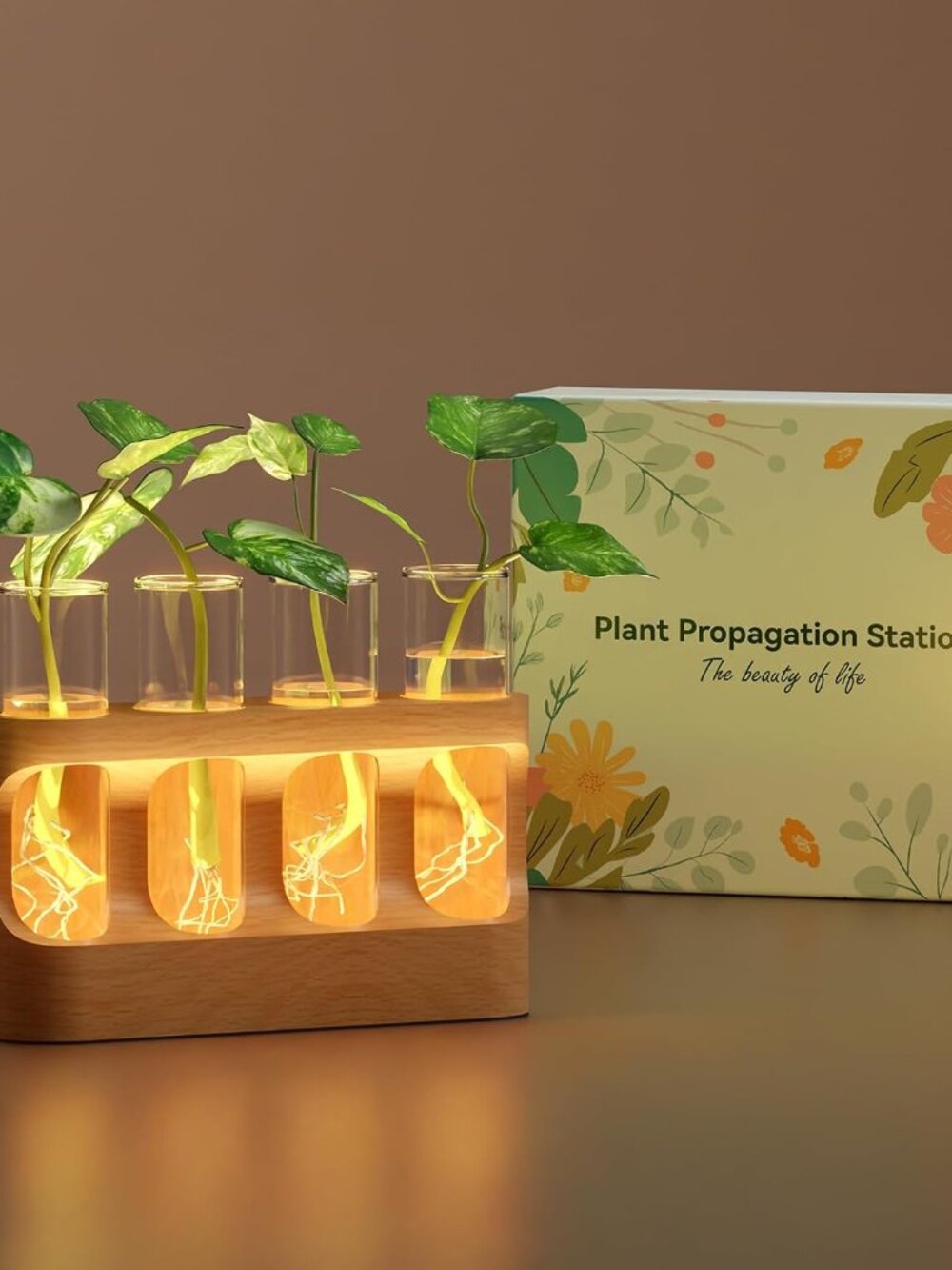Plant Propagation Station with Wooden Stand, Gardening Gifts for Mom Women Plant
